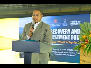 Minister of Agriculture, Fisheries and Mining, Floyd Green, delivers the main address during the Rural Agricultural Development Authority Recovery and Investment Forum on Tuesday.