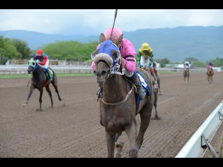 
SENTIENT, ridden by Dane Nelson, winning the Monday Morning Trophy at Caymanas Park yesterday. 