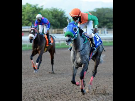 STORM PRINCESS, ridden by Christopher Mamdeen, is clear of rivals at Caymanas Park on Saturday, February 2, 2019. 