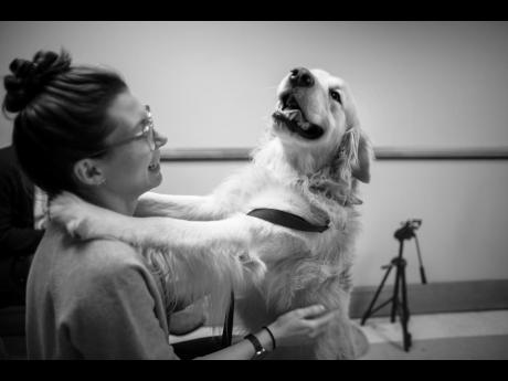 Julia Espinosa pets Loki after a job well done. Like many researchers and volunteers at the lab, Espinosa is a dog lover. When she was 12 years old, her parents wouldn’t let her have a dog – so she started a dog-walking business. 