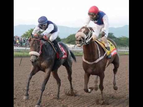 SHE’S A MANEATER (left), ridden by Omar Walker, getting the better of WILL IN CHARGE, ridden by Robert Halladeen, in the 4th running of the (BURGER KING) SUPERSTAKES, the 9th race at Caymanas Park, on Saturday, November 10, 2018. 