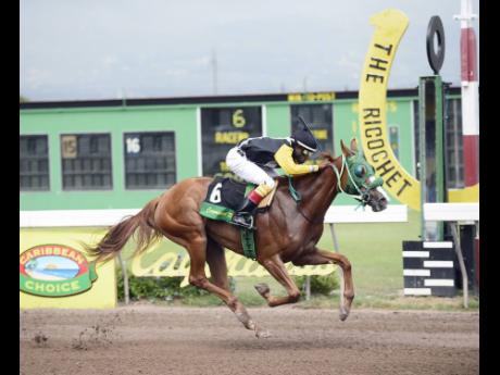 Zephyr, pictured here with Jerome Innis aboard, is down to compete with Legality for the Ahwhofah Sprint Trophy today at Caymanas Park in St Catherine.  