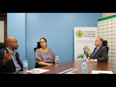 Industry, Commerce, Agriculture and Fisheries Minister Audley Shaw (right) pays keen attention to Chief Executive Officer of the Cannabis Licensing Authority (CLA) Lincoln Allen as he gives an update on the operations of the CLA during a tour of the agency’s new location at the PanJam Building in New Kingston on August 2. Looking on is Hyacinth Lightbourne, CLA chairman.