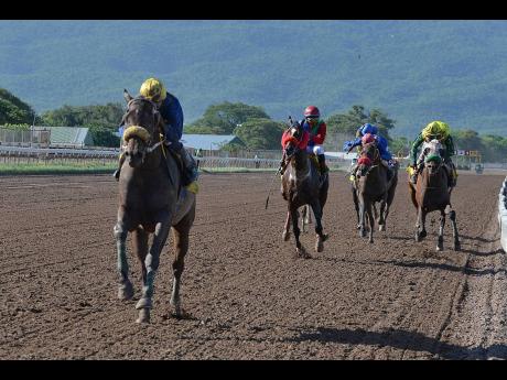 
Bigdaddykool (left), ridden by Ryan Lewis, won the Prime Minister’s Stakes ahead of Superluminal and Dontae at Caymanas Park yesterday.