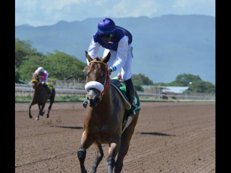 
SHE’S A MANEATER (centre) easily wins the Gold Cup with Omar Walker aboard, finishing ahead of ANOTHER BULLETT and MONEY MAGNET at Caymanas Park yesterday.