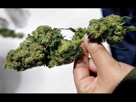In this March 25, 2018, file photo, a visitor examines a marijuana sample at the New England Cannabis Convention in Boston. Black entrepreneurs who say people of colour are being shut out of the lucrative marijuana trade are joining forces to close the gap. 