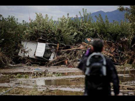 A man surveys damages at an apple orchard devastated by Typhoon Hagibis Tuesday, Oct. 15, 2019, in Nagano, Japan. More victims and more damage have been found in typhoon-hit areas of central and northern Japan, where rescue crews are searching for people still missing. (AP Photo/Jae C. Hong)
