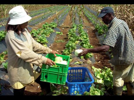In the short to medium term, many countries might be forced to produce some goods for themselves to meet local demand where needed.