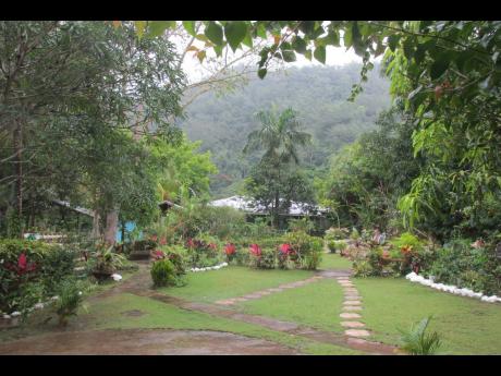 The rustic and idyllic ambience of Tapioca Village Retreat and Attraction at Devon Pen in St Mary. 