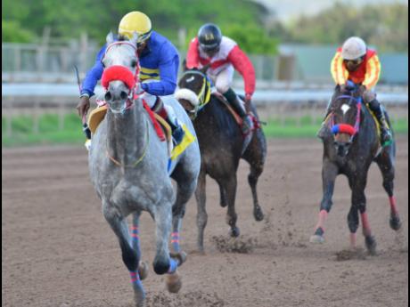 
RACE CAR, with leading rider Dane Nelson aboard, wins the eighth race at Caymanas Park on March 21. 