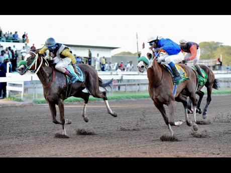 Credit: File Local thoroughbreds in action at Caymanas Park on February 26.