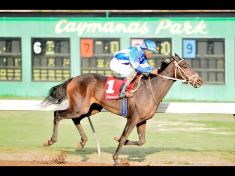 CRIMSON with Anthony Thomas aboard wins the United Racehorse Trainers’ Association Trophy at Caymanas Park on Saturday, November 23, 2019.