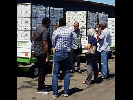  Agriculture Minister Audley Shaw (centre) and ministry staff inspect a shipment of mangoes destined for the US  at the Norman Manley International Airport on Monday, June 8.