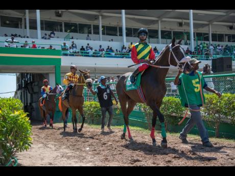 EDDIE’S PRINCESS (5) with Sadiki Blake; ADORNING LADY (6,) ridden by Anthony Thomas; and PRINCESS STATIC (7), ridden by Christopher Mamdeen, are led on to the track by their respective groomsmen ahead of the 1100m race at Caymanas Park on Saturday, July 