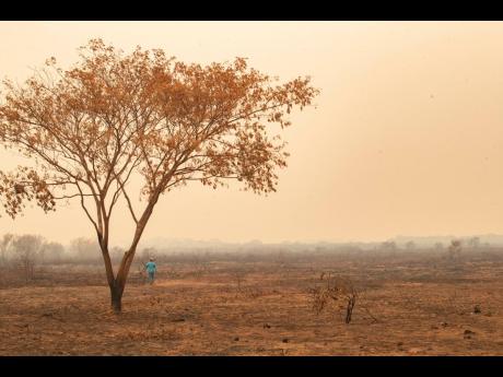 An recently burned area at the Encontro das Aguas park at the Pantanal wetlands near Pocone, Mato Grosso state, Brazil, Saturday, September 12, 2020.