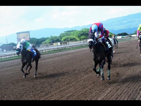 Credit: Anthony Minott BUCKALUCK (right), ridden by Anthony Thomas, wins the Norman Manley Memorial Cup over SMOKEY TOPAZ, ridden by Roger Hewitt, at Caymanas Park yesterday.