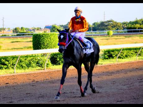 SIR ALTON, ridden by Anthony Thomas.