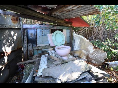 The shed under which the Jones family used a toilet.