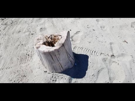 
This tree stump on the beach could describe 2020 – which was full of challenges, left a lot of scars, but still overcame it. Photo taken at Waves in St Catherine. 
