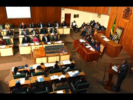 Jamaica is no stranger to vivacious discussions in our own Parliament, thus, practising parliamentary procedures learned was very novel. 