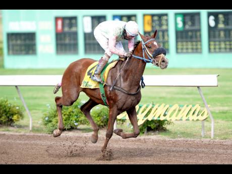 Shane Ellis aboard Blood Song at Caymanas Park on Saturday, December 28, 2019.