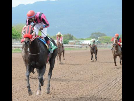 Legality, ridden by Omar Walker at Caymanas Park on Saturday, March 30, 2019.