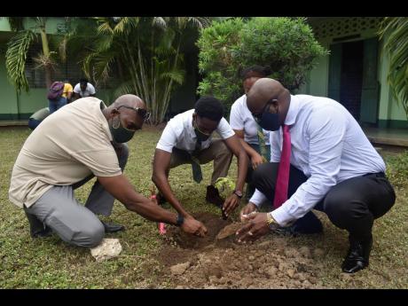 Ainsley Henry (lwft), CEO and conservator of forests, and Sean Barrow (right), second vice- president of the St Jago High Past Students’ Association, Jamaica chapter, assist two students of the institution to plant trees as part of the #MyTreeLegacy plan