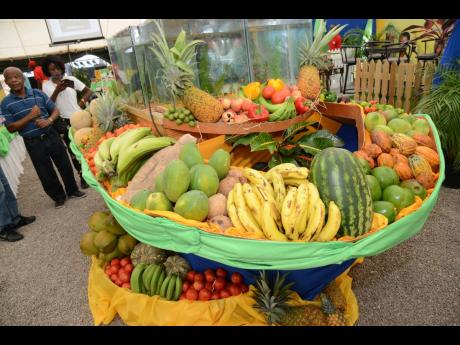 Produce on display at Denbigh Agriculture and Industrial Show in 2016.