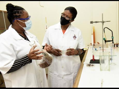 Credit: Ian Allen/Photographer Winklett Gallimore (right) and Doleasha Davis are continuing research into sargassum, the pesky seaweed that has been clogging some northern Jamaica beaches in recent years.
