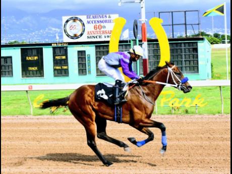 PAPITO ridden by Dick Cardenas wins the fourth race at Caymanas Park, on Saturday, December 5, 2020.