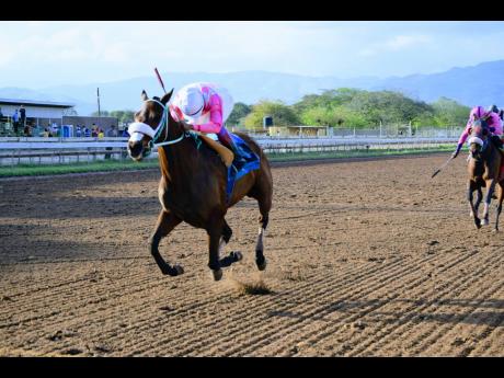 Credit: Anthony Minott Hover Craft, a 5-1 outsider ridden by Anthony Thomas, wins the Louis Hitchins Memorial Cup for Three-Year-Olds and up at Caymanas Park yesterday.