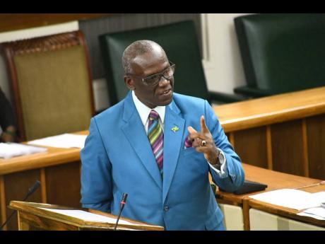 Local Government Minister Desmond McKenzie.