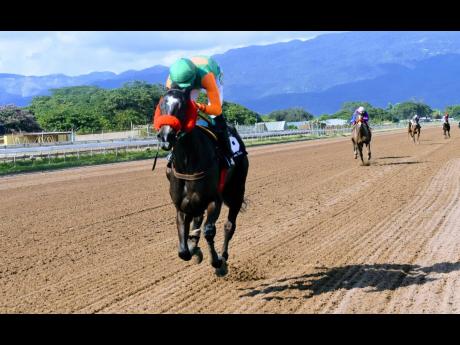 Action Ann, pictured here, is one of She’s A Wonder’s main rivals over seven furlongs in the Thornbird Stakes at Caymanas Park in St Catherine on Wednesday.