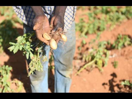 Extreme drought conditions have impacted Caribbean farmers over the years.