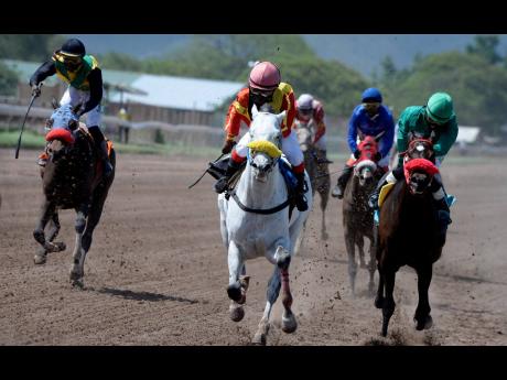 Credit: File Natalie Berger (centre), aboard PaintThisTownRed, on her way to victory at Caymanas Park on Saturday, April 20, 2019.