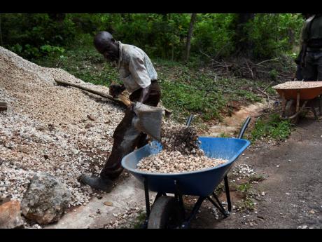 Credit: Nicholas Nunes/Photographer Orville Franklyn, seen here shovelling gravel in Mendez, St Catherine, in helping his older brother build his home. Franklyn has called for lockdown grants to be issued to hard-hit Jamaicans.