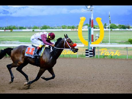 Credit: File King Arthur, ridden by Anthony Thomas.