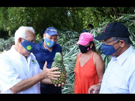 Jamaica Producers Group Chairman Charles Johnston (left) shows off a special, freshly picked pineapple, ready for sampling, during British High Commissioner to Jamaica Asif Ahmad (right) and Kim Del Mundo (second right) tour of the JP St Mary’s Farms in 