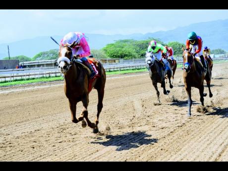 MINIATURE MAN (left) ridden by  Anthony Thomas is a 27-1 long shot winner ahead of the favourite AWESOME LIZ (Omar Walker)  in the ninth race over a Mile at Caymanas Park on Saturday, April 17, 2021.