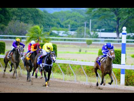 
Nipster (right), ridden by Robert Halledeen, wins the St Cecelia Cup at Caymanas Park yesterday.
