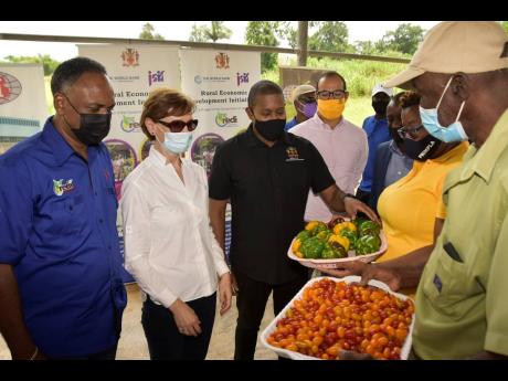 Minister of Agriculture and Fisheries Floyd Green (third left) looks at sweet peppers and cherry tomatoes being shown by farmers Kerise Mighty (second right) and Charles Townsend (right), during a tour of the Greenhouse Cluster and Water Harvesting Project