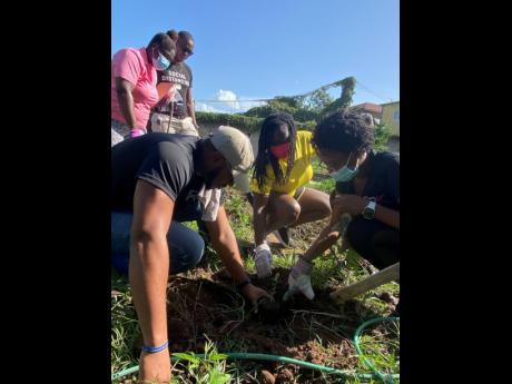Director of Community Service, Natasha Burnett (right) receives assistance from Director, Membership Engagement, Romond Nesbeth (left) and club Secretary Anucha Pryce as they plant the first seedling of the day. Deputies Peter-Gaye Bromfield and Daniel Ker