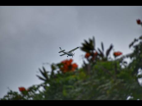 Soaring in the skies - photo taken in Hanover.