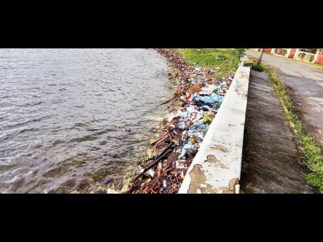Garbage pile-up along the shoreline at the park.