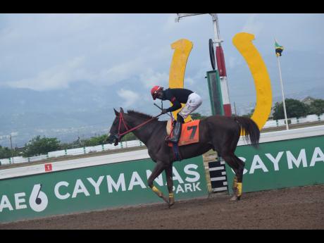 Credit: Anthony Minott Sentient, ridden by Robert Halledeen, wins the seventh race, over six and a half furlongs at Caymanas Park in St Catherine on Saturday, August 14.