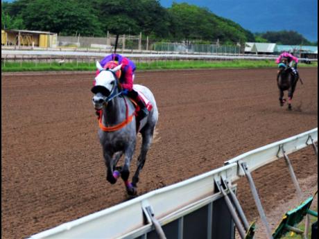 Credit: Anthony Minott ROY ROGERS, ridden by Nicholas Hibbert, outclasses the field and wins The Errol ‘Big Sub’ Subratie Memorial (Section 1) over one mile at Caymanas Park in Portmore, St Catherine, yesterday.