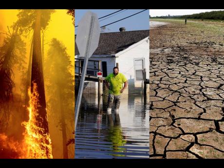 This combination of 2020-2021 photos shows a burning tree in Sequoia National Forest, Calif.; Nathan Fabre, whose home and boat were destroyed by Hurricane Ida in Lafitte, La.; and the cracked, dry bottom of the Cerro Lagoon during an extended drought in L