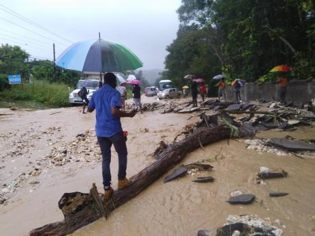 Credit: Photo by Hopeton Bucknor A man walks gingerly on a fallen tree on the flood-ravaged Unity Hall main road in Montego Bay on Monday.