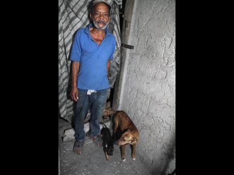  Errol Frankson stands in front the piece of cloth that serves as a door, along with the dogs that share his room.