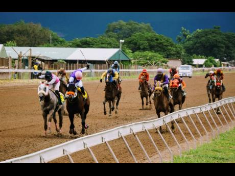 ZION (right, front), a 27-1 long-shot ridden by Phillip Parchment, on the way to winning the fifth race over 7 1/2 furlongs straight at Caymanas Park last Saturday.